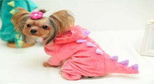 Costurando Sucesso: Amplie Seus Ganhos com Roupas para Pets!